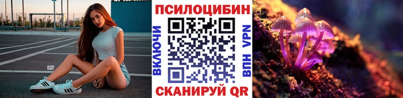 закладка Усть-Катав Галлюциногенные грибы ЛСД